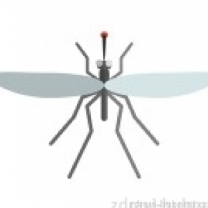 Účinné repelenty proti komárům, klíšťatům – domácí i z obchodu