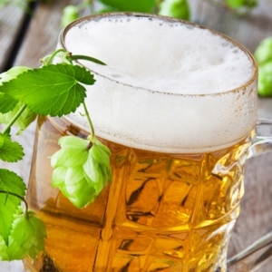 Přiměřená konzumace piva je zdravá